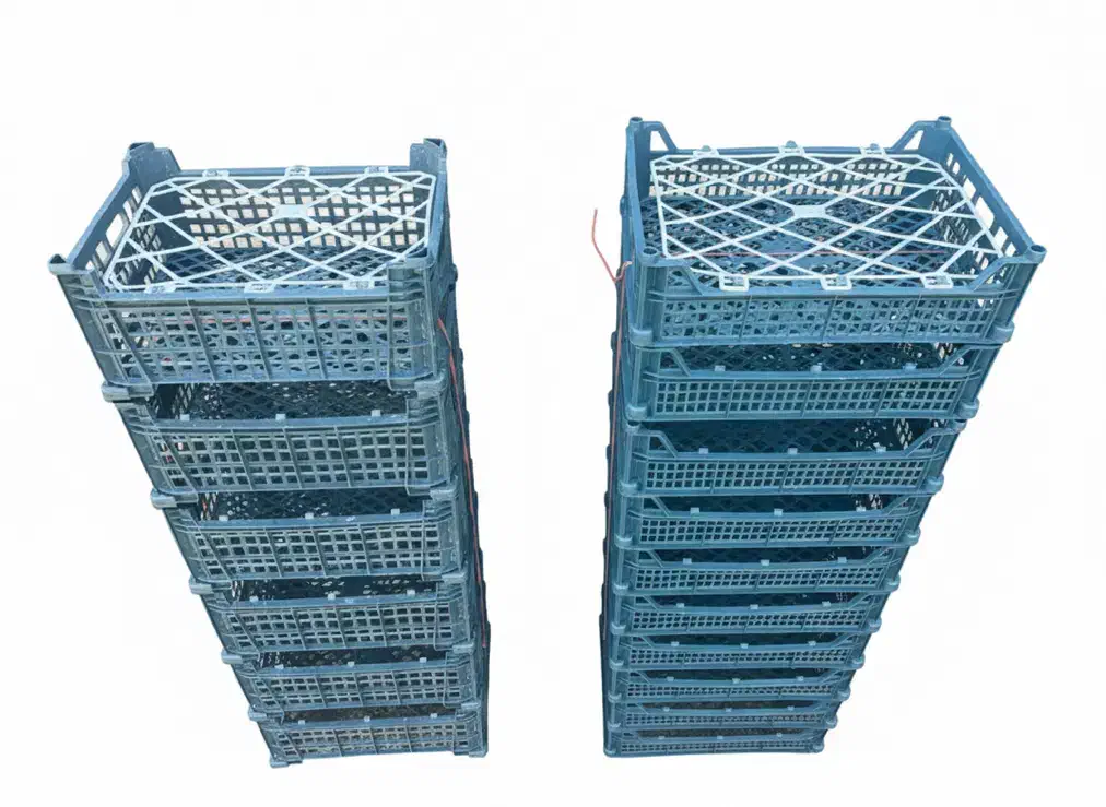 کارخانه سبدسازی|ظروف نگهدارنده، پلاستیکی، یک‌بارمصرف|محمدشهر, محمدشهر|دیوار