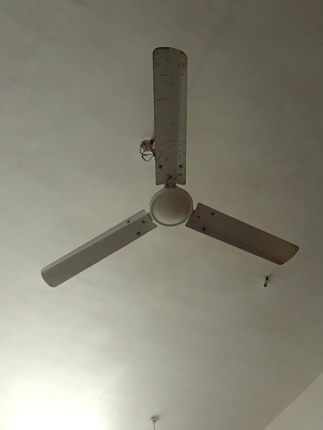 پنکه ،smc اصلی در رامشیر|پنکه و تصفیهکنندهٔ هوا|رامشیر, |دیوار