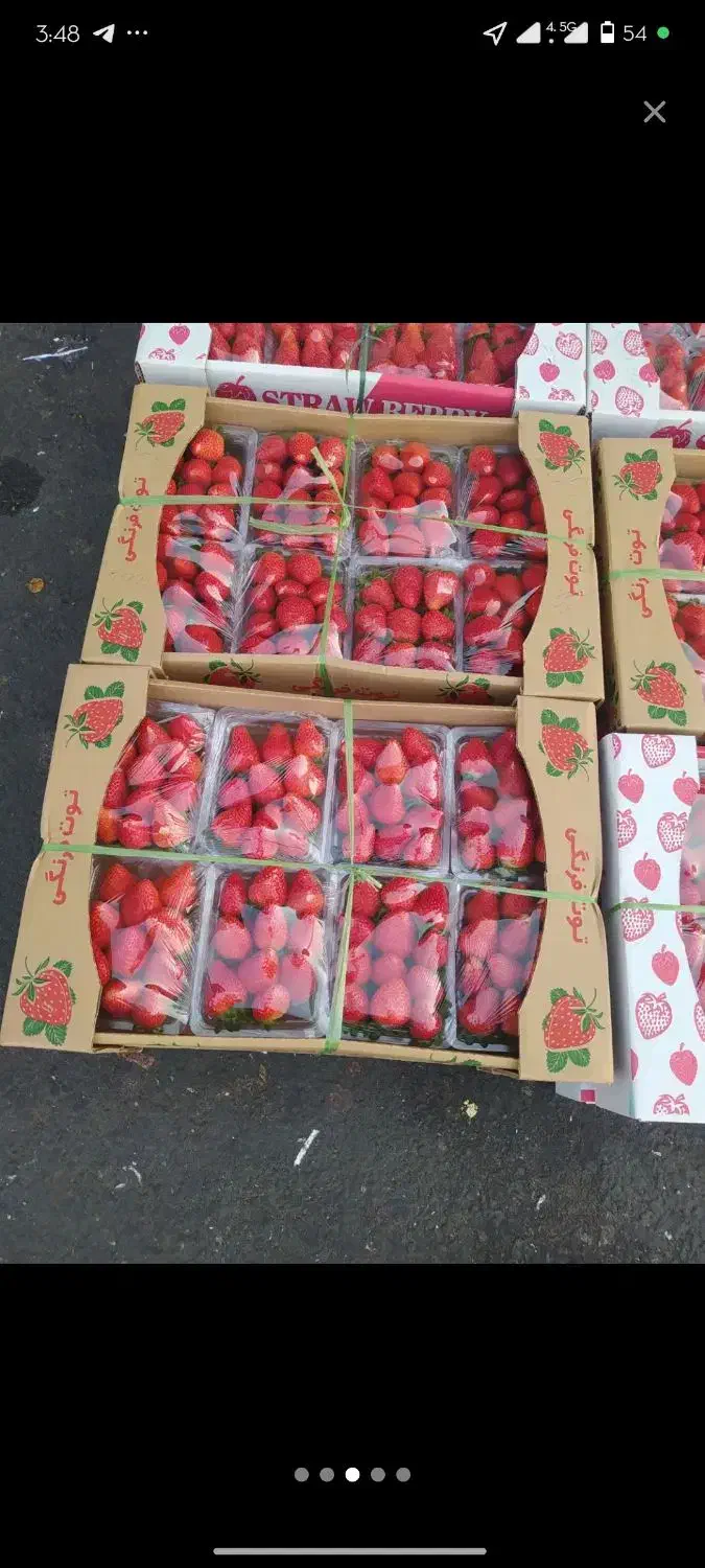 شاتوت انبه|خوردنی و آشامیدنی|تهران, وصفنارد|دیوار