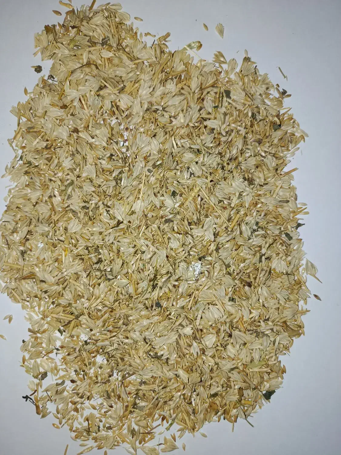 علوفه|عمدهفروشی|اردبیل, |دیوار