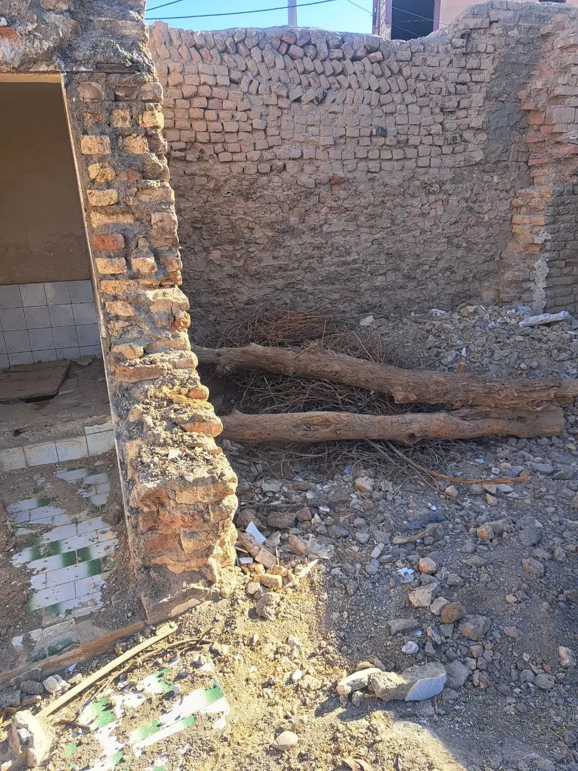 چوب خشک هیزم|خدمات باغبانی و درختکاری|زابل, |دیوار