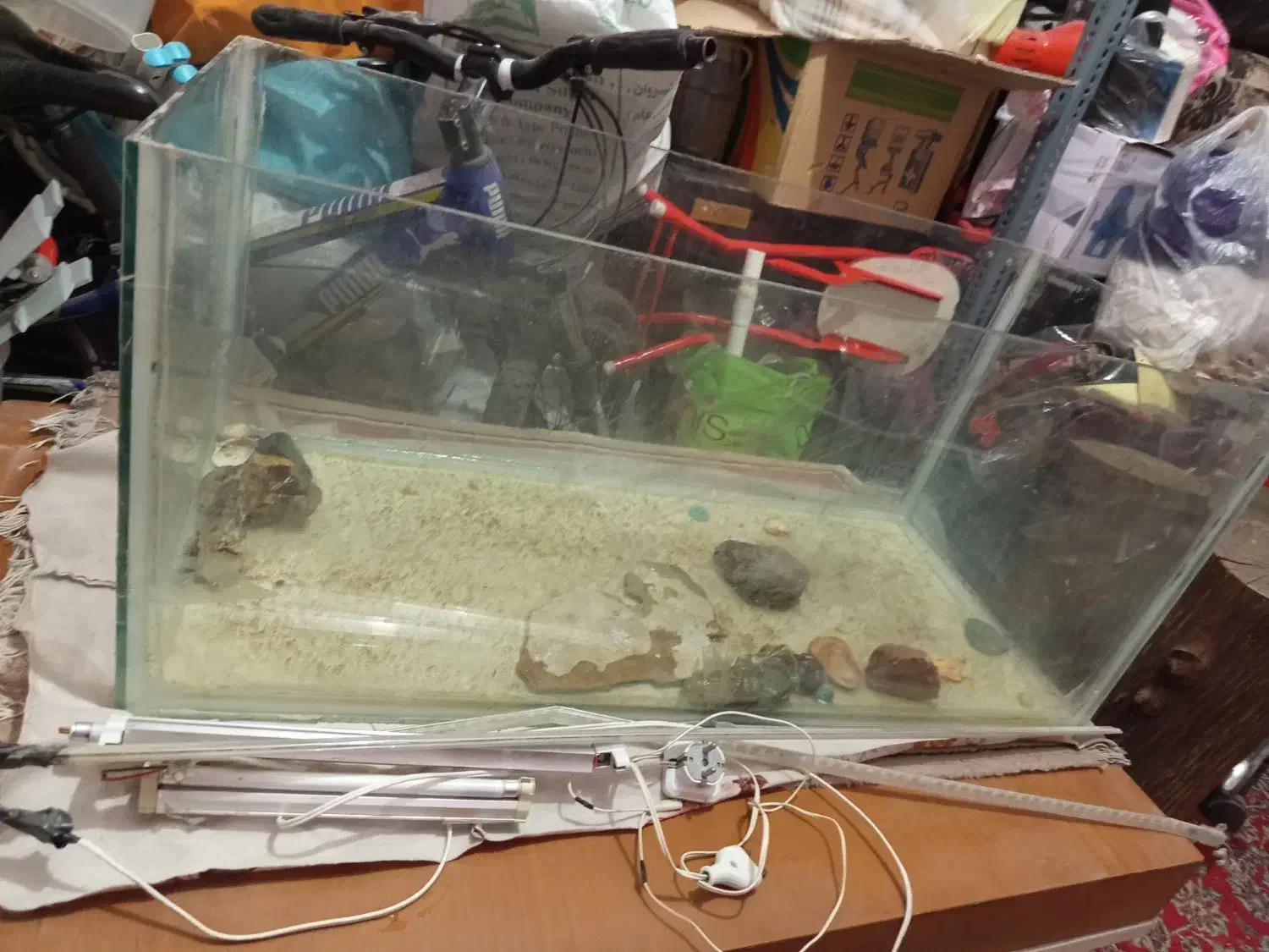 آکواریوم|ماهی|پردیس, فاز ۲|دیوار