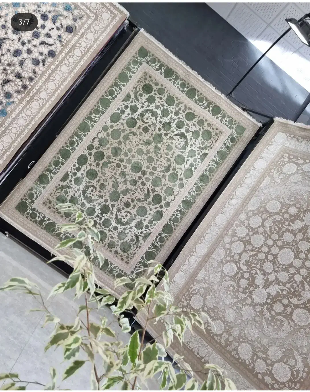 فرش سناتور مدل تاج ۷۰۰شانه نخی کالکشن مدرن ۱۲متری|فرش|شیراز, فرگاز|دیوار