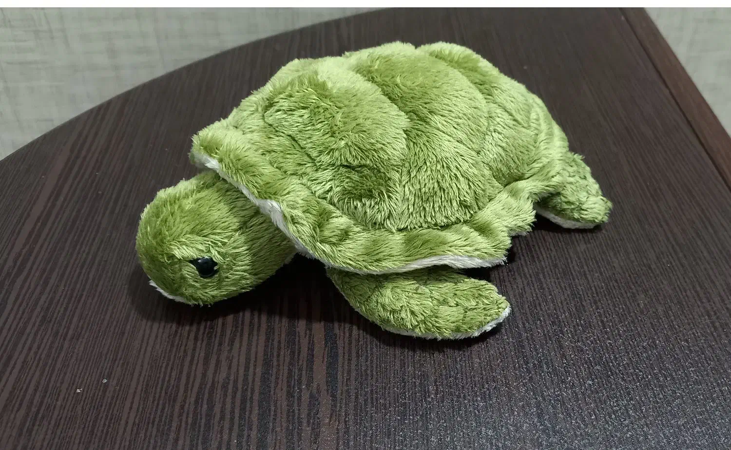 عروسک پولیشی|اسباببازی|رشت, پل تالشان|دیوار