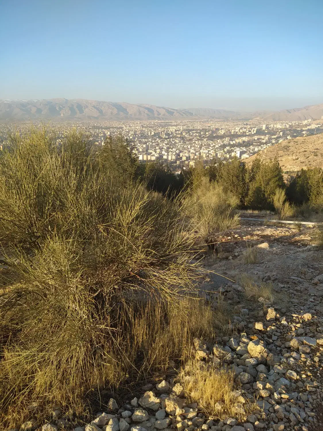 راهنمایی|فعالیت داوطلبانه|شیراز, تندگویان|دیوار