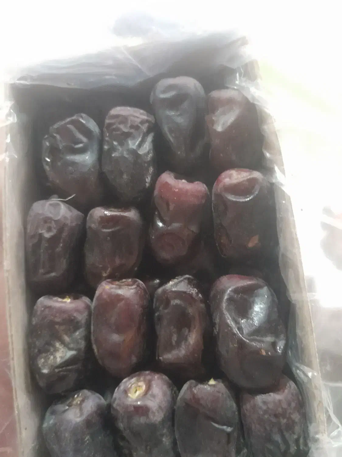 فروش رطب مضافتی بم|عمدهفروشی|ریگان, |دیوار