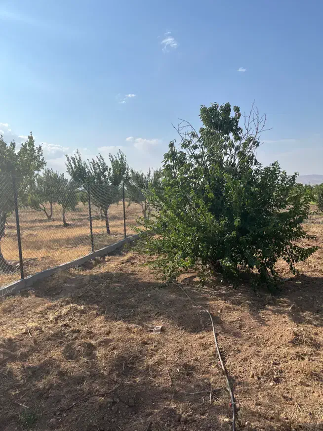 باغشهر ساوالان|فروش زمین و ملک کلنگی|زنجان, |دیوار