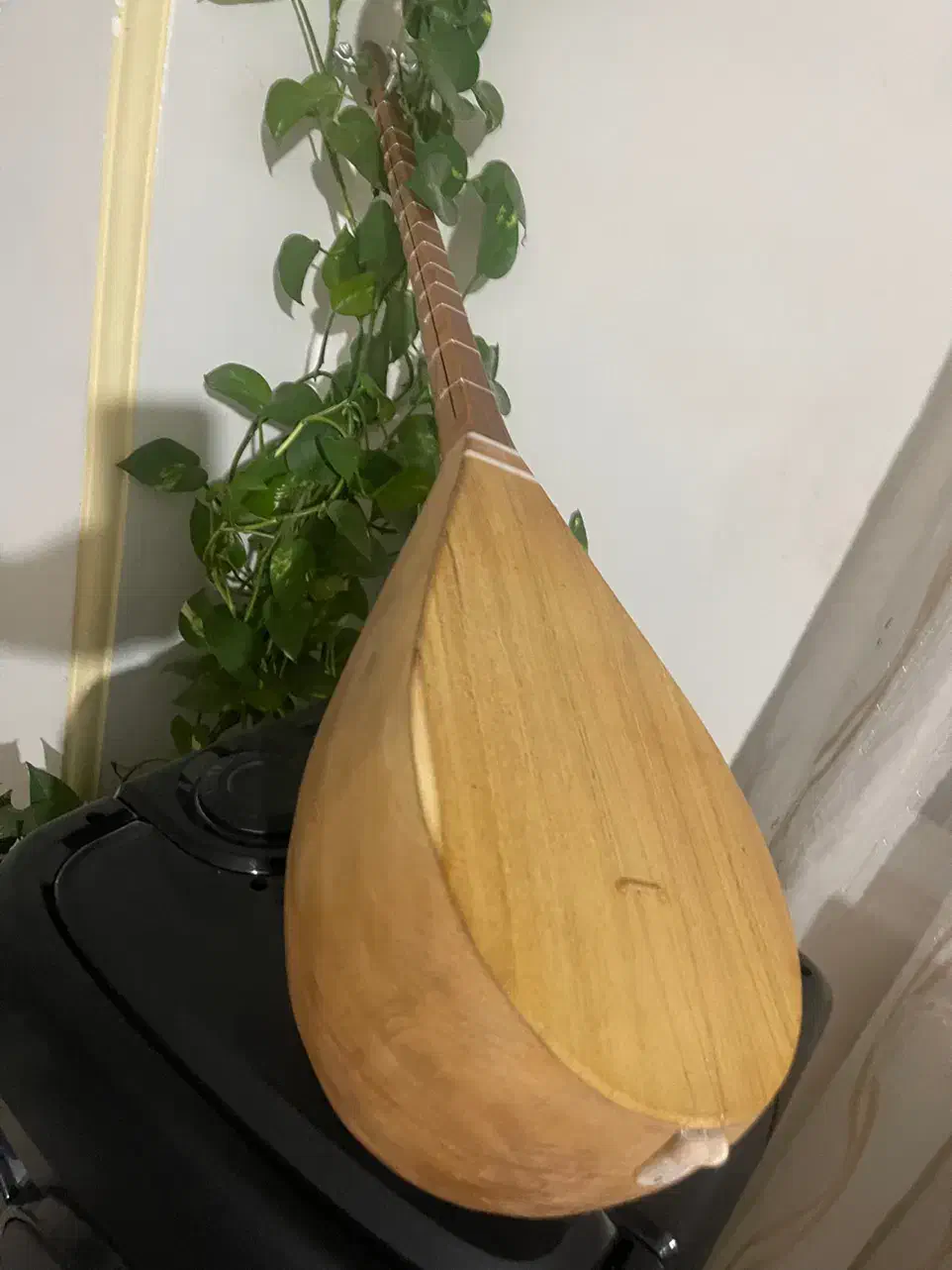 دوتار کاسه بزرگ فوق العاده باکیفیت خوشصدا|سازهای سنتی|بجنورد, |دیوار