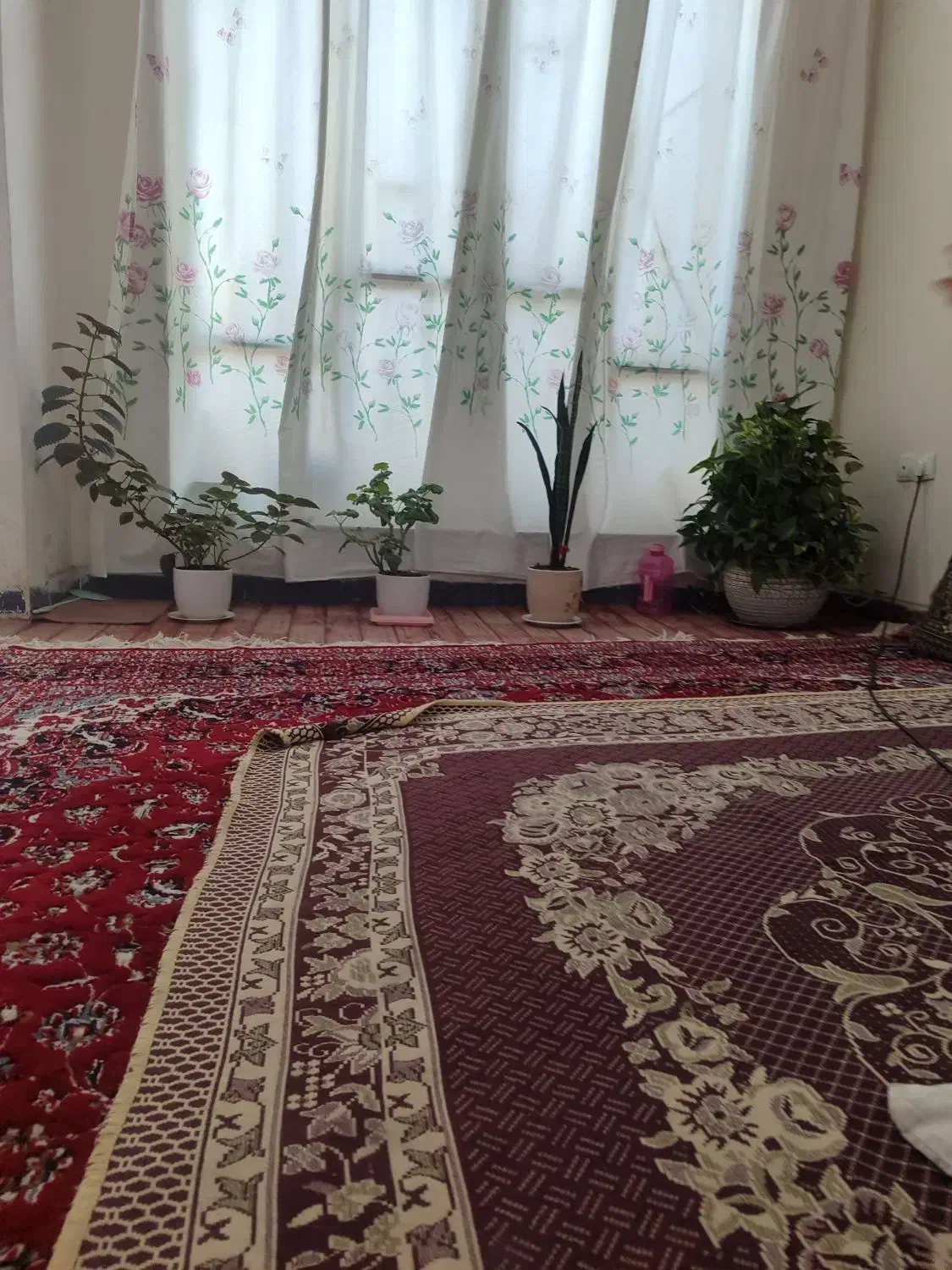 اجاره خانه ویلایی ۱۲۰ متری ۱ خوابه در تندگویان|اجارهٔ خانه و ویلا|شیراز, تندگویان|دیوار
