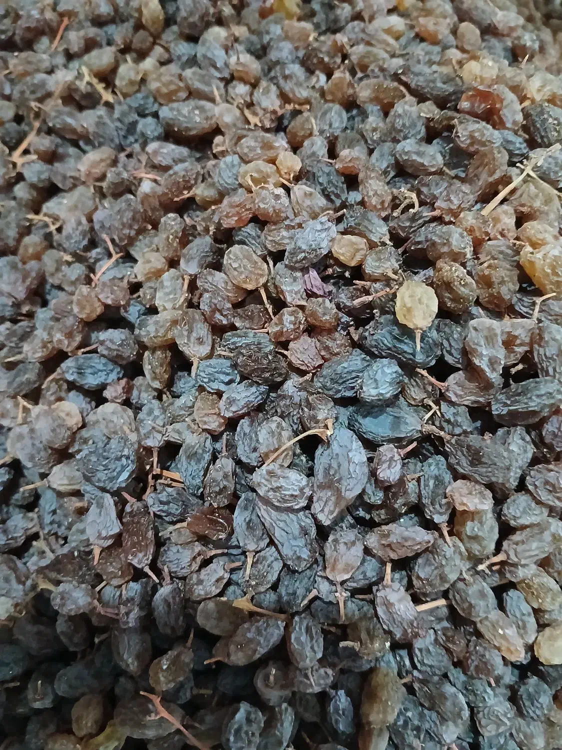 کشمش درشت مال امسال|خوردنی و آشامیدنی|خرمدره, |دیوار