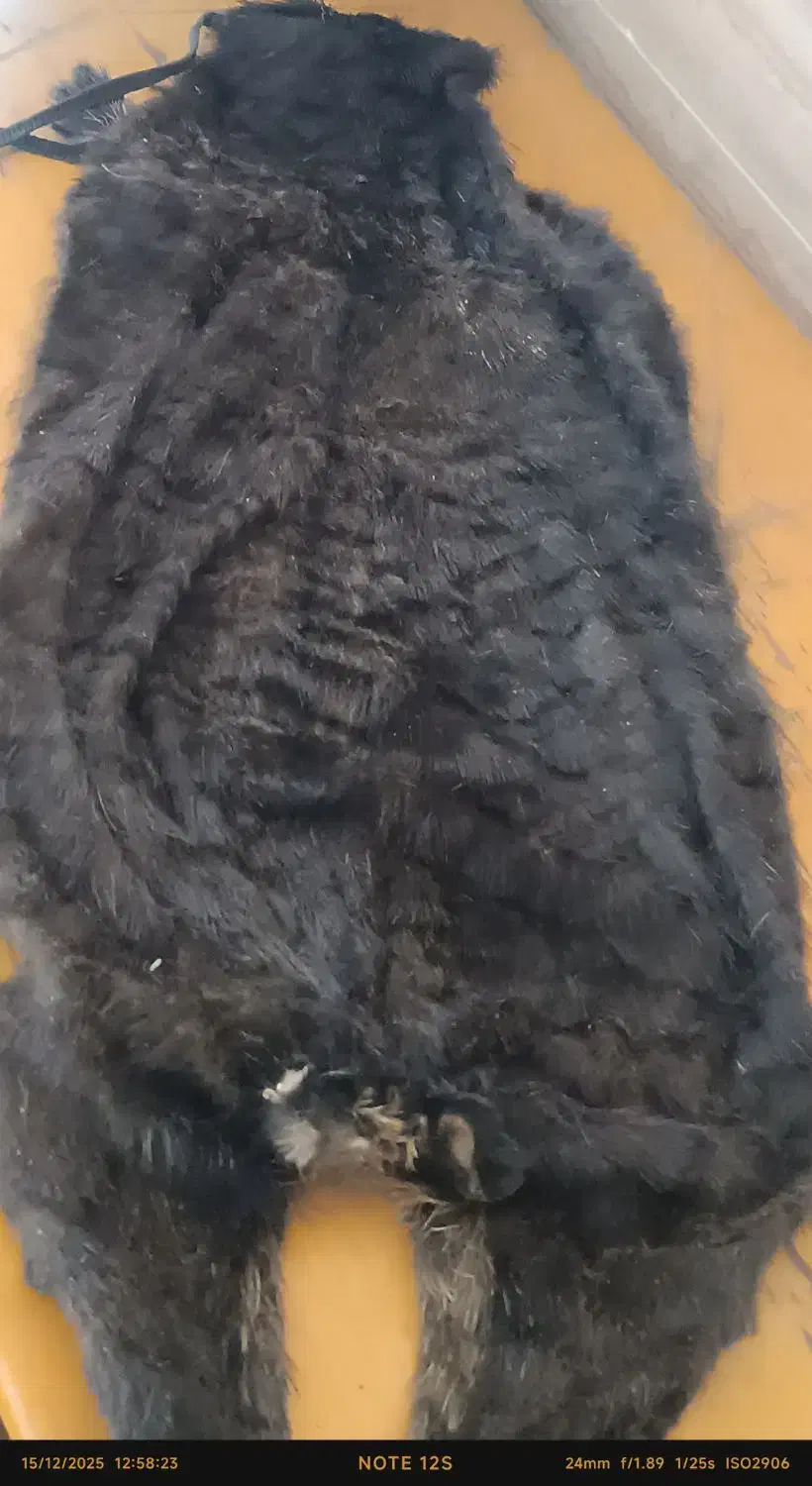 سفره نان پزی قدیمی|سفره، حوله، دستمال آشپزخانه|ایذه, |دیوار