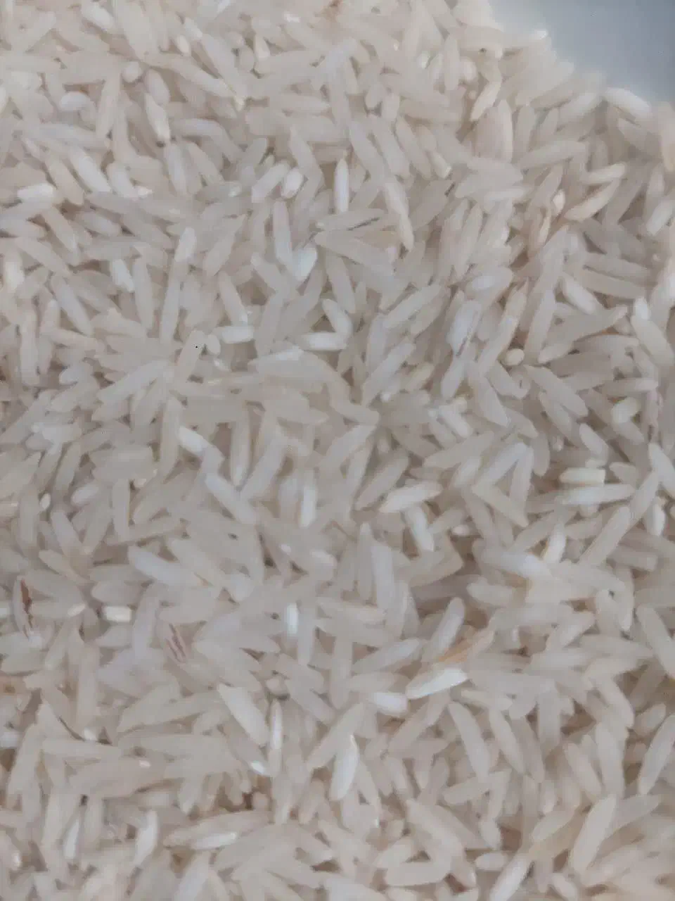 فروش برنج سنگ طارم محلی|خوردنی و آشامیدنی|بهشهر, |دیوار