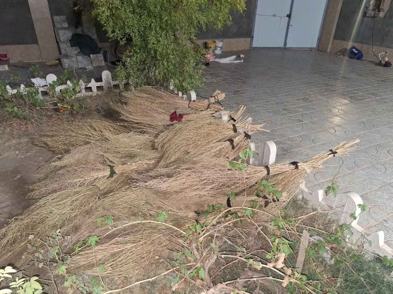 جارو|لوازم نظافت|تربتحیدریه, شهرک ولیعصر|دیوار