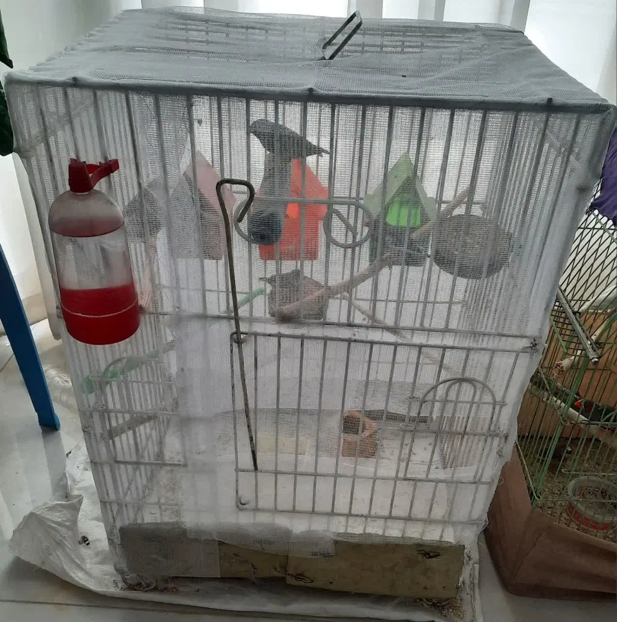 قفس|لوازم جانبی حیوانات|مشهد, انقلاب|دیوار