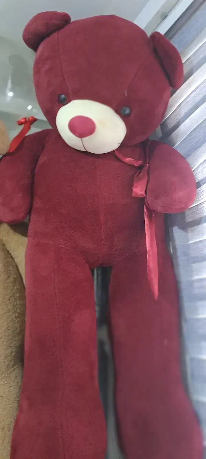 خرس|اسباب‌‌بازی|اردبیل, |دیوار