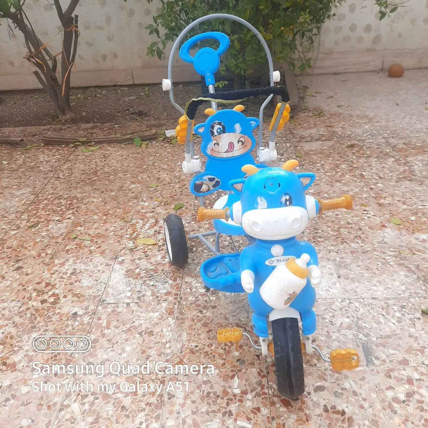 سه چرخه کودک|دوچرخه، اسکیت، اسکوتر|ایذه, |دیوار