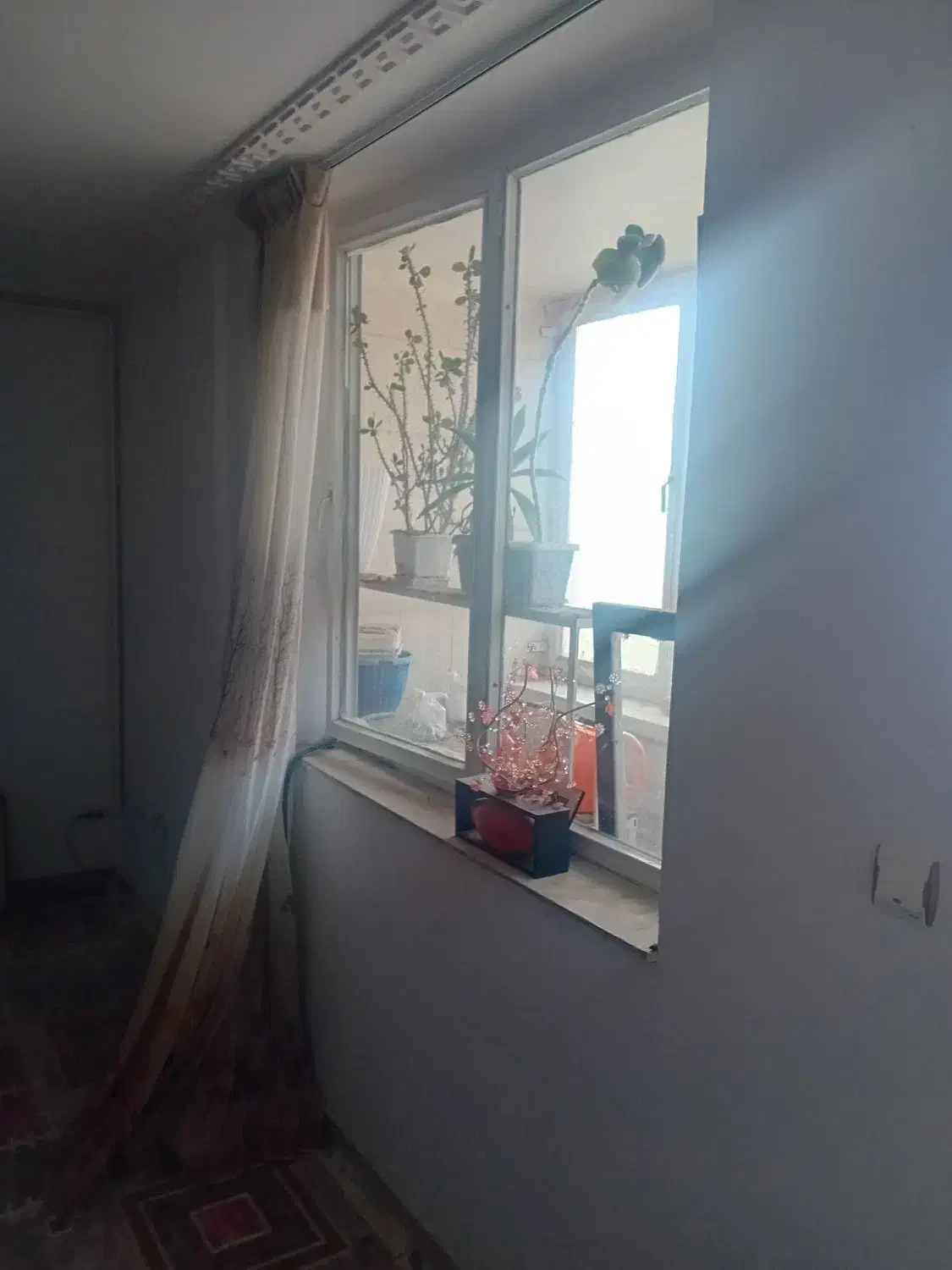 در و پنجره|مصالح و تجهیزات ساختمان|ملایر, |دیوار