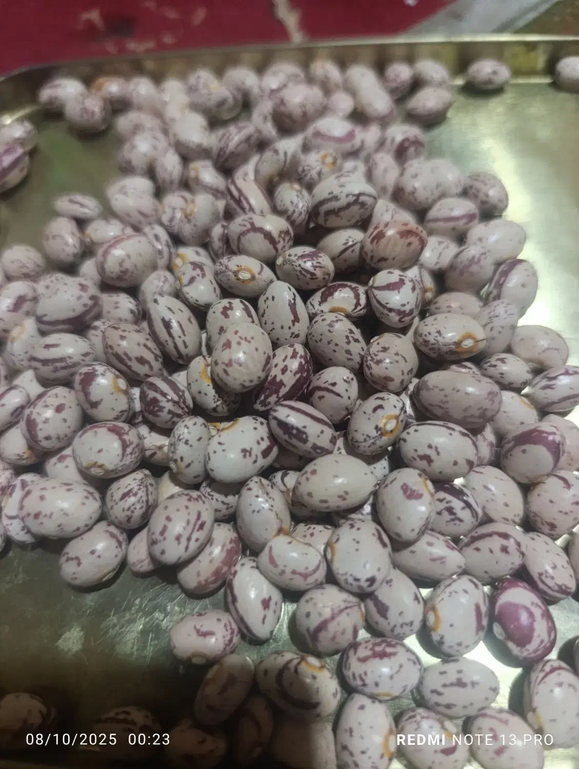 لوبیا چیتی|خوردنی و آشامیدنی|شیراز, بریجستون|دیوار