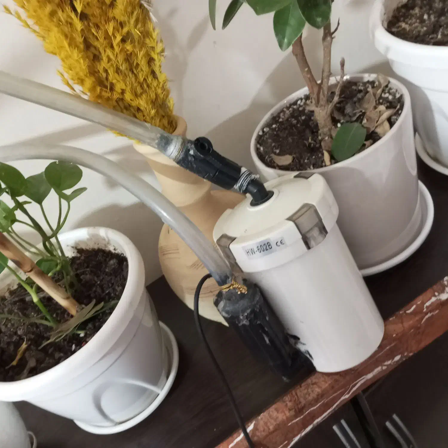 فیلتر تصویه آکواریوم سطلی|ماهی|تهران, بازار|دیوار