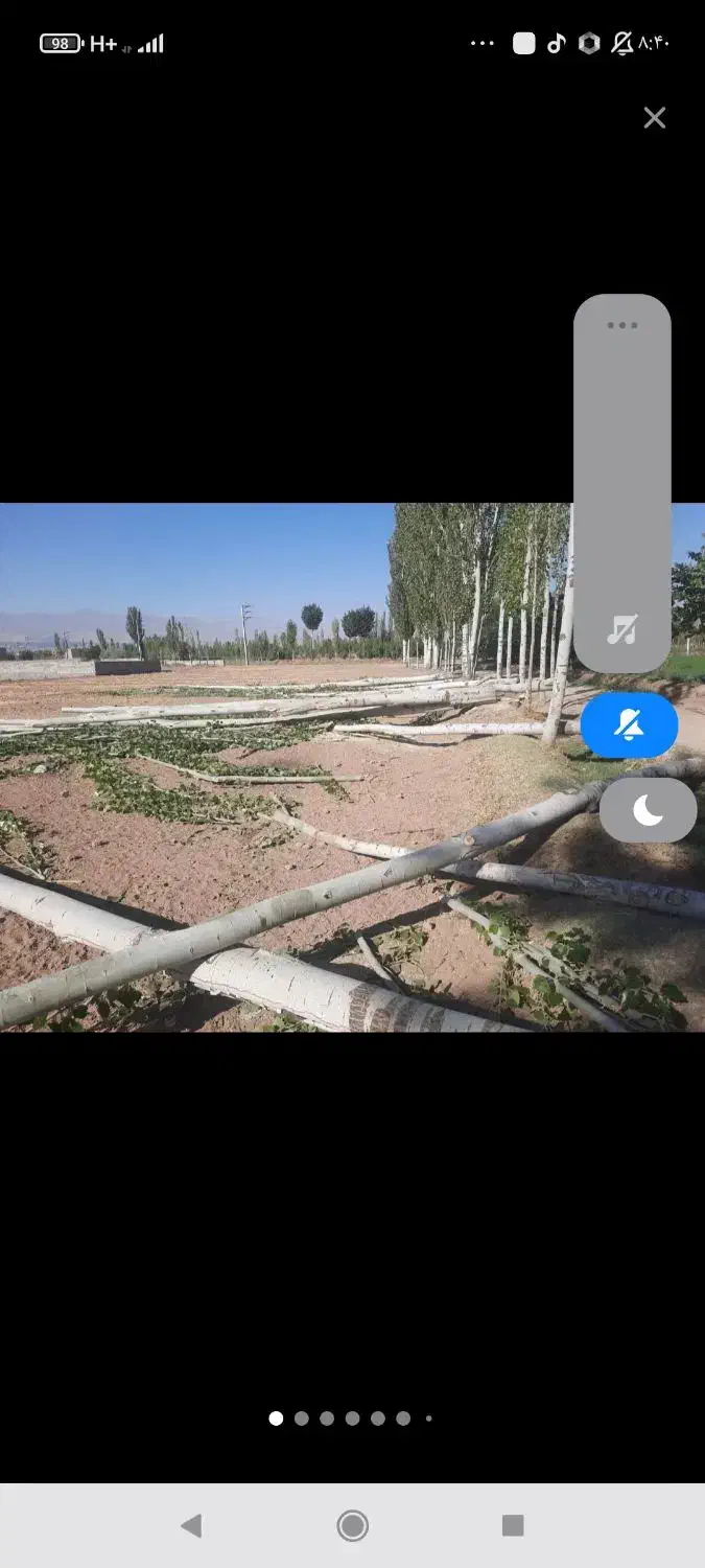 خرید قلمه|خدمات باغبانی و درختکاری|اهر, |دیوار