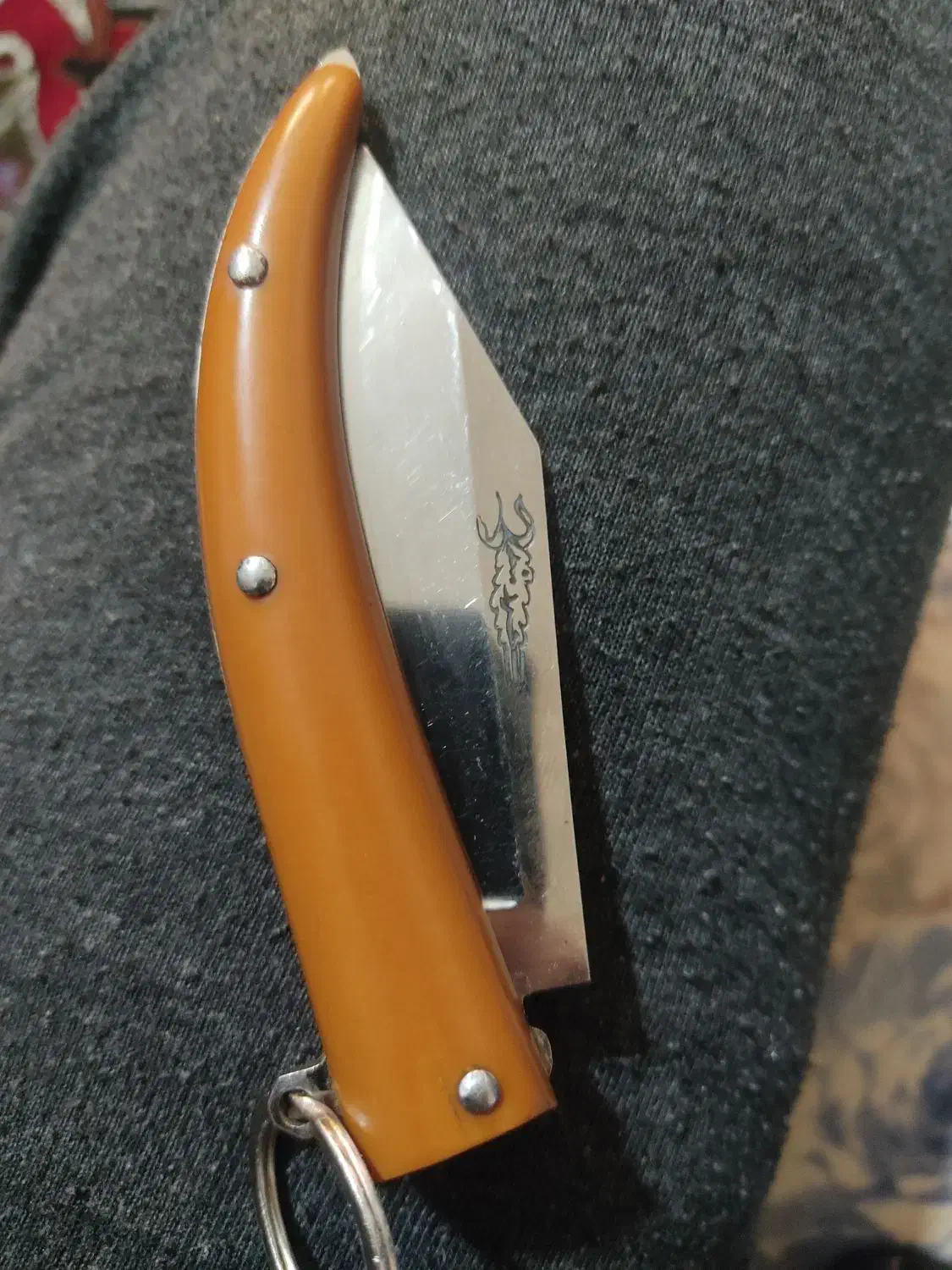 چاقو جیبی|کلکسیون اشیاء عتیقه|الوند, |دیوار