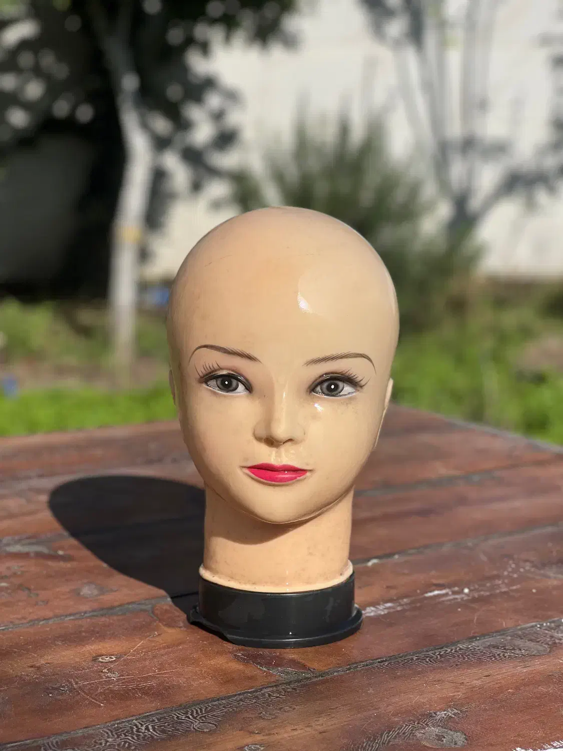 مانکن سر (چهره)|فروشگاه و مغازه|آستارا, |دیوار