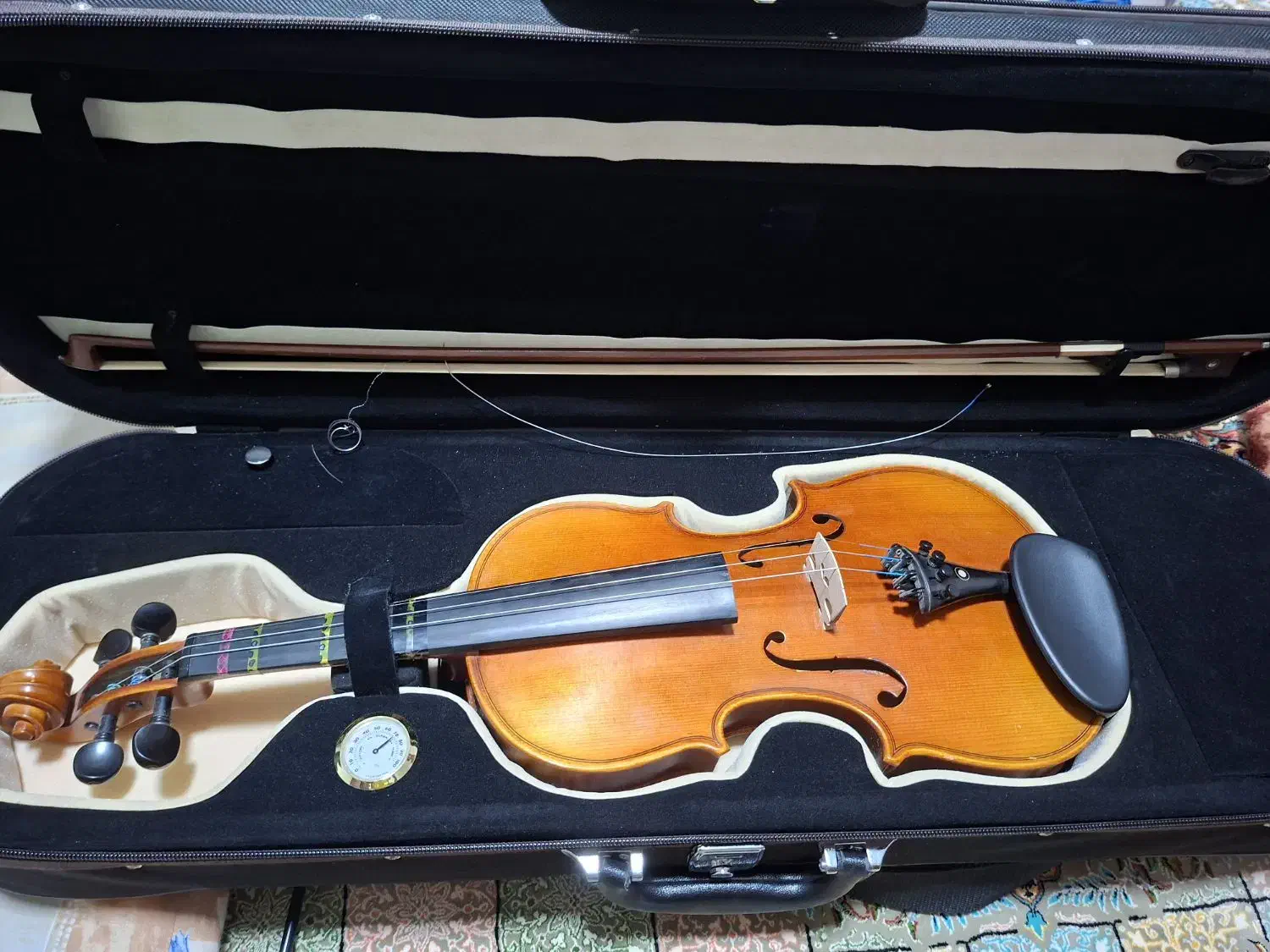 ویولن ۰۰۸۰۰|ویولن|دوگنبدان, |دیوار