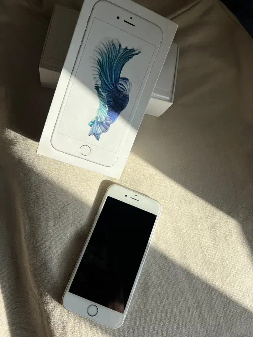 Iphone 6s|موبایل|شیراز, قدوسی غربی|دیوار