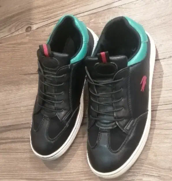 کتونی|کیف، کفش، کمربند|رشت, پارک شهر|دیوار