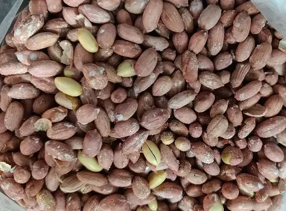 بادام زمینی آستانه تازه و اعلا|خوردنی و آشامیدنی|تهران, بازار|دیوار