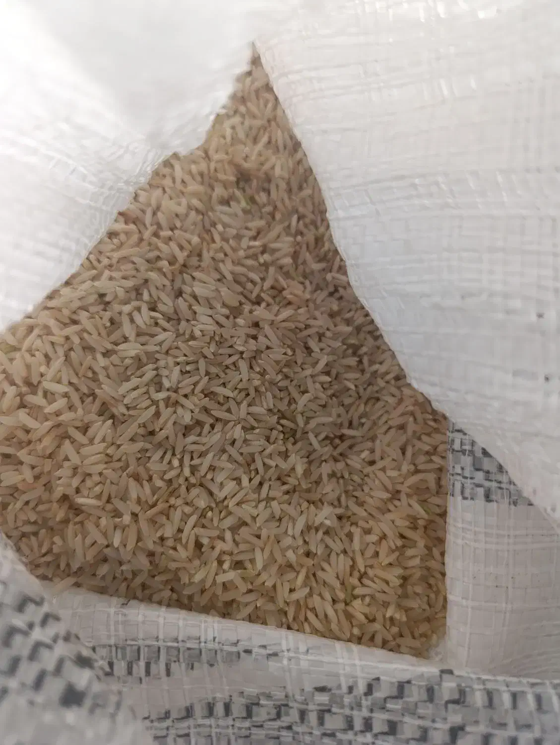 برنج دم سیاه عطری|خوردنی و آشامیدنی|ایلام, |دیوار