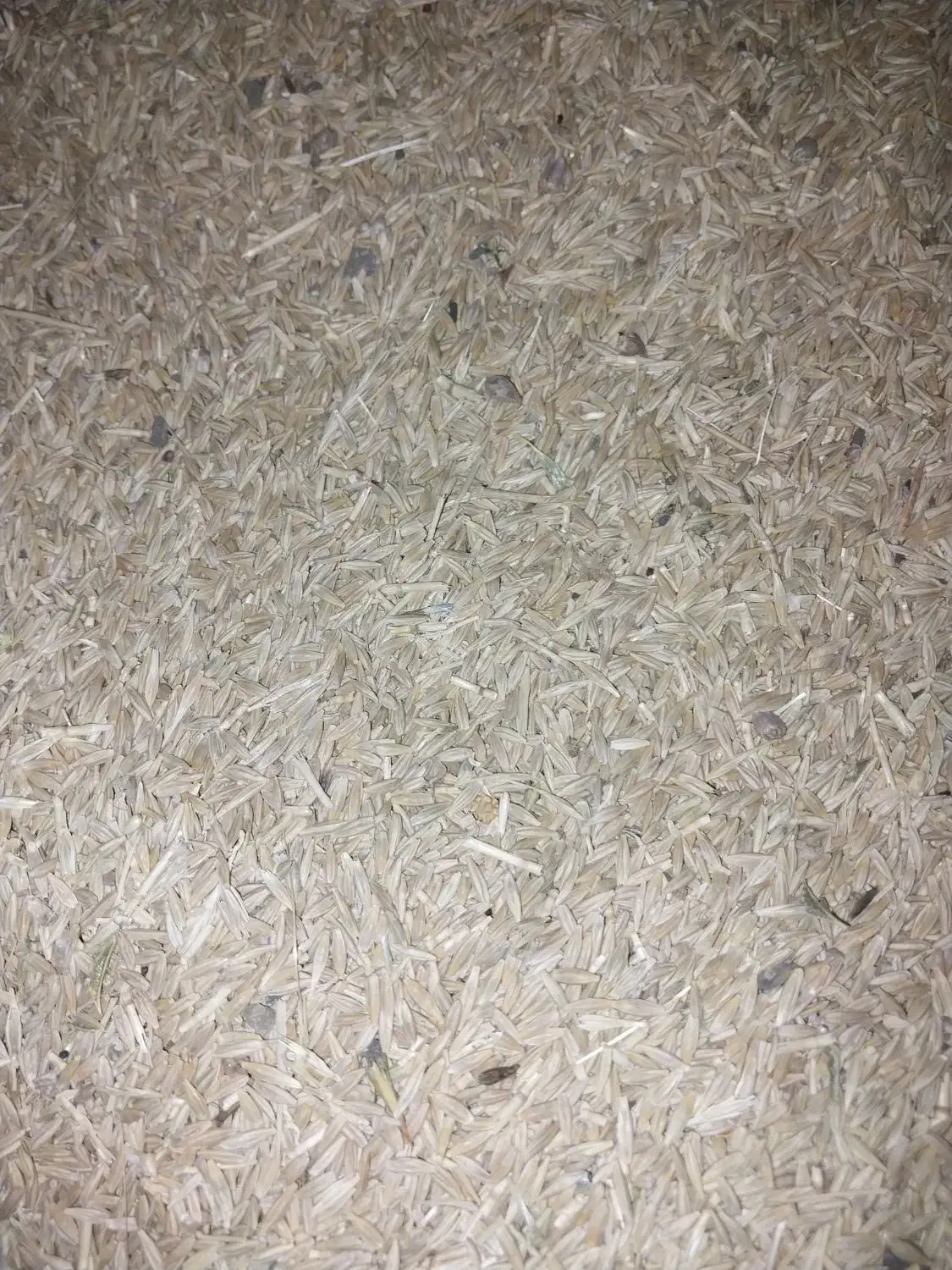 جودیم|خوردنی و آشامیدنی|فرمهین, |دیوار