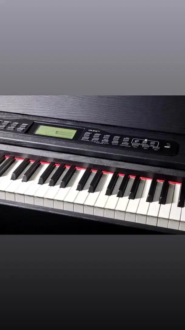 »پیانواقساطی ارسال سراسرکشوریاماهاتاشوکاسیو...|پیانو، کیبورد، آکاردئون|مبارکه, |دیوار