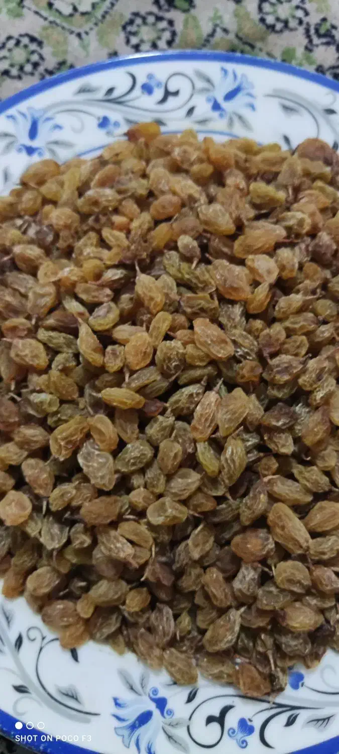 کشمش درجه یک|خوردنی و آشامیدنی|شیراز, دروازه اصفهان|دیوار