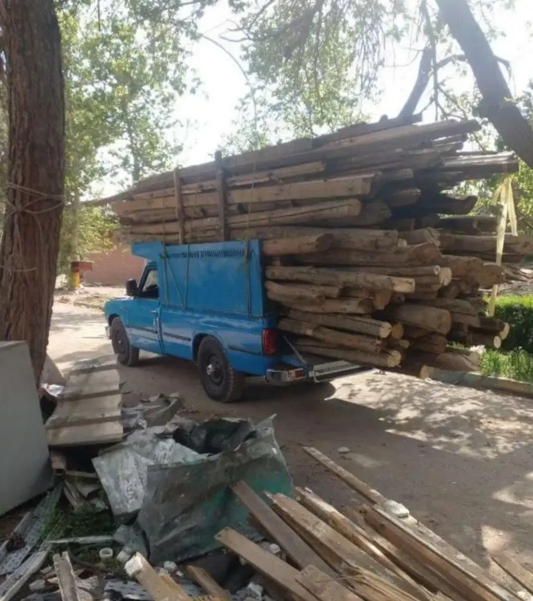 خرید چوب و درخت|خدمات باغبانی و درختکاری|بیرجند, |دیوار