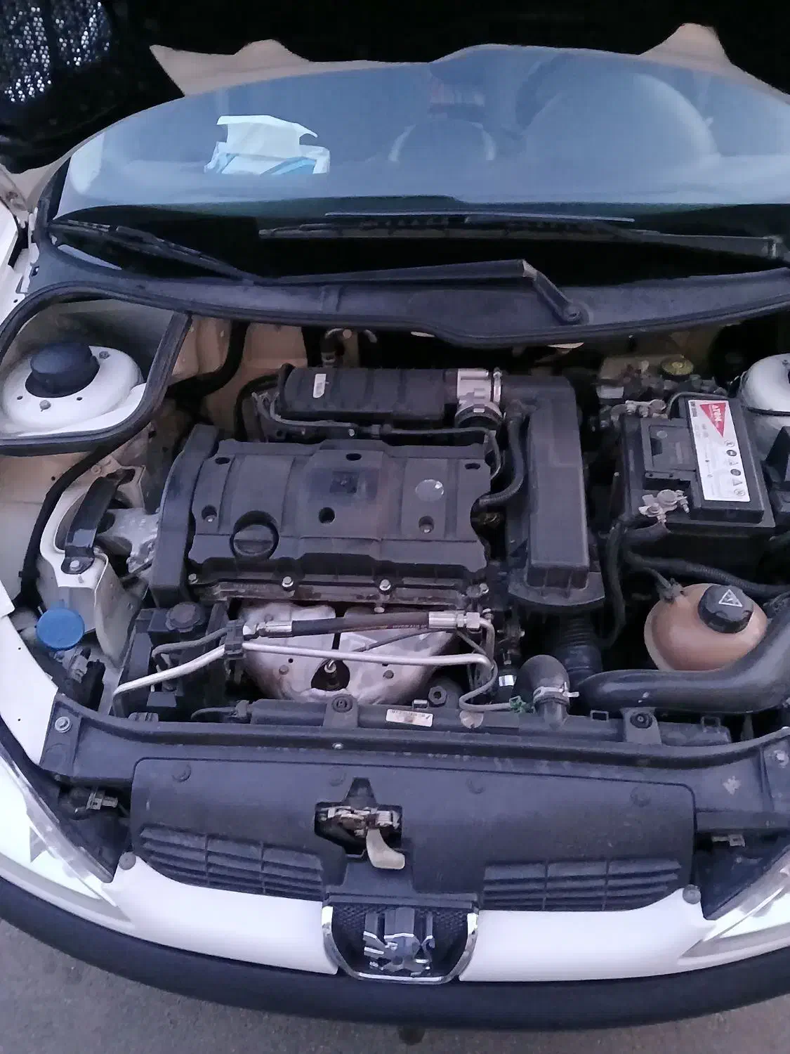 206sd v8|خودرو سواری و وانت|خوی, |دیوار