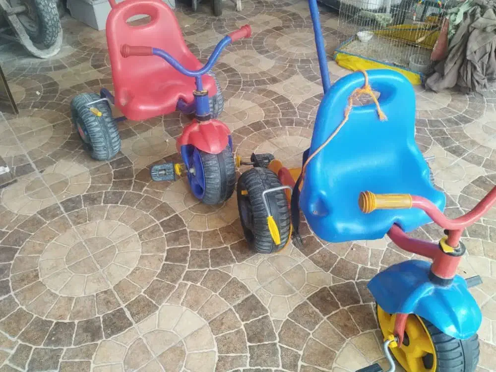 دوچرخه|دوچرخه، اسکیت، اسکوتر|چغادک, |دیوار