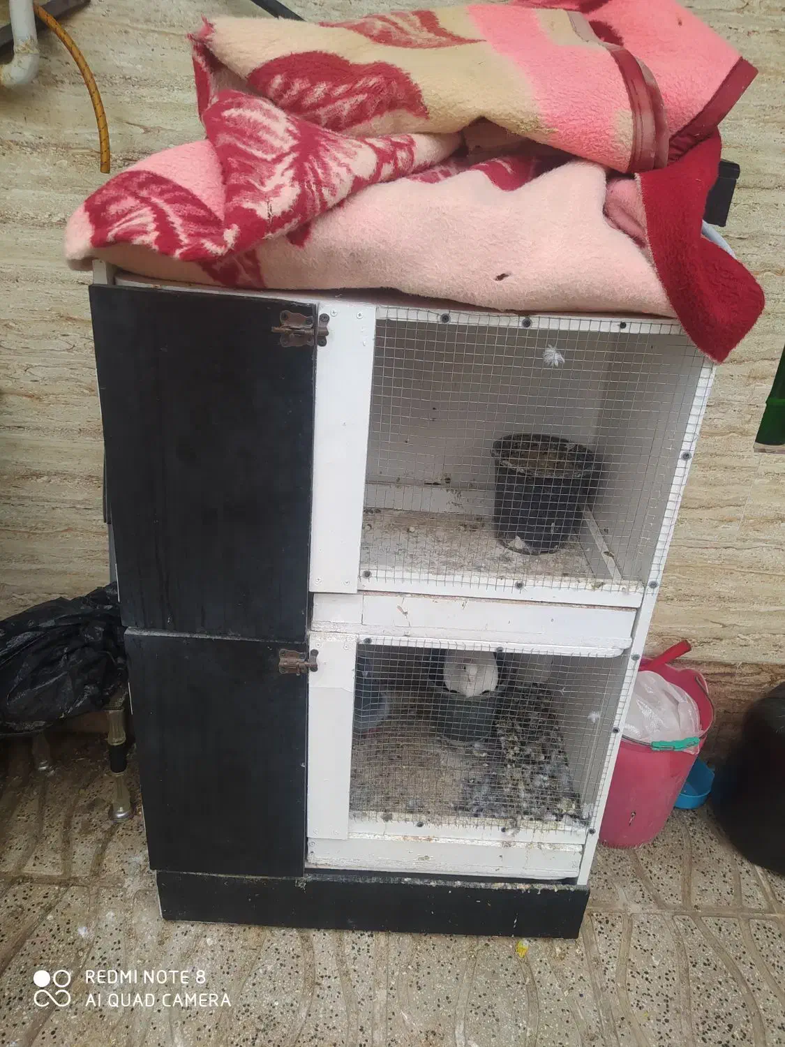 قفس|لوازم جانبی حیوانات|طبس, |دیوار