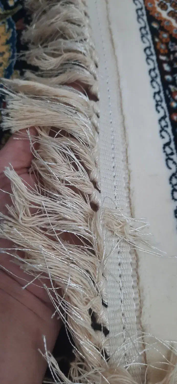 فرش ۶ متری نو|فرش|رودسر, |دیوار