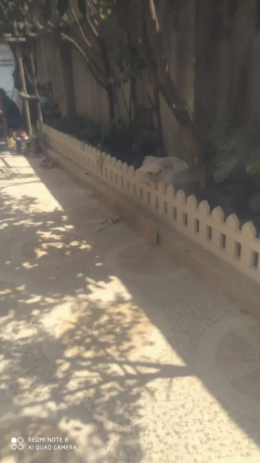 کاشیکاری|خدمات پیشه و مهارت|رشت, لاکان|دیوار