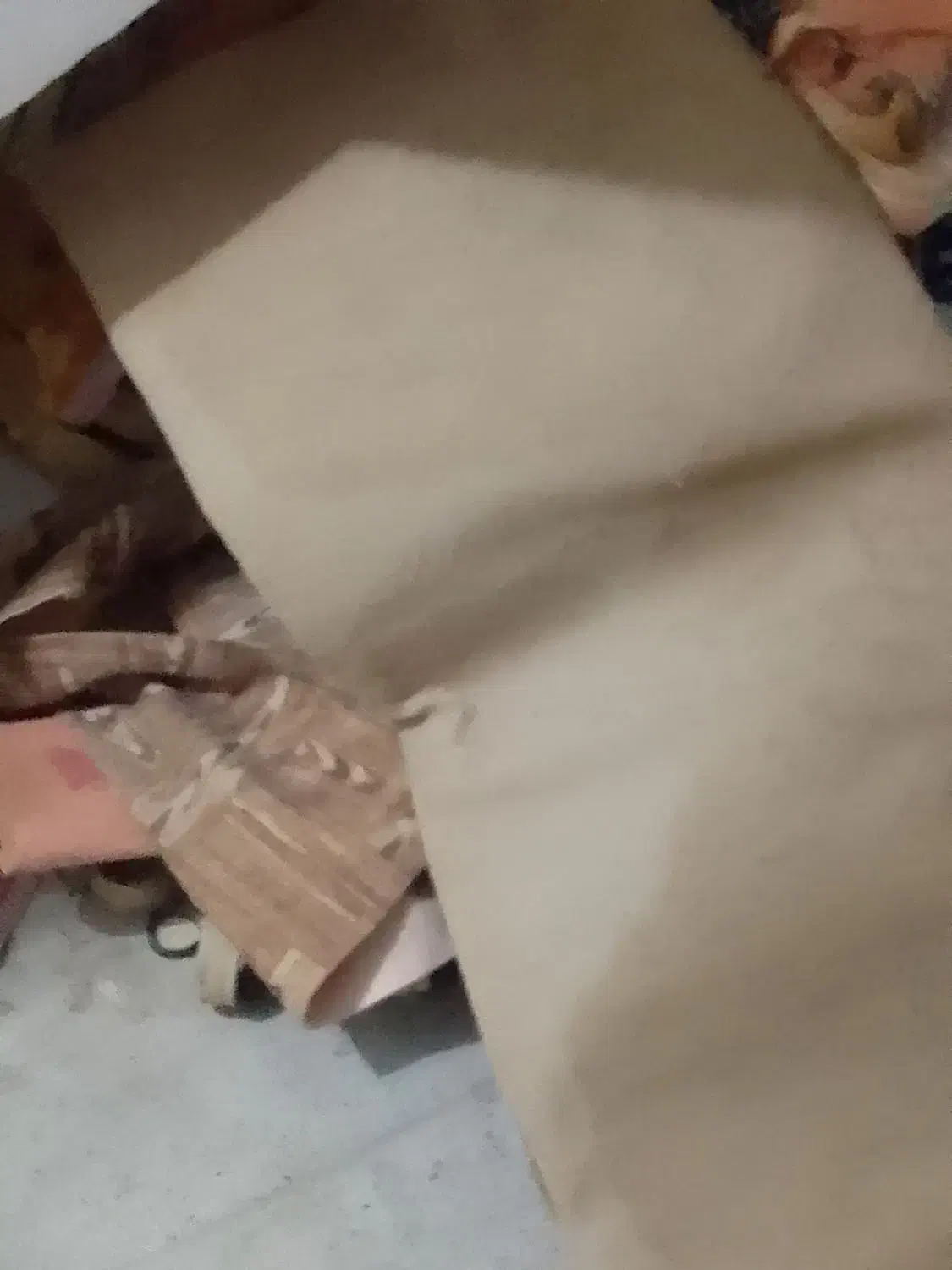 موکت|موکت|قوچان, |دیوار