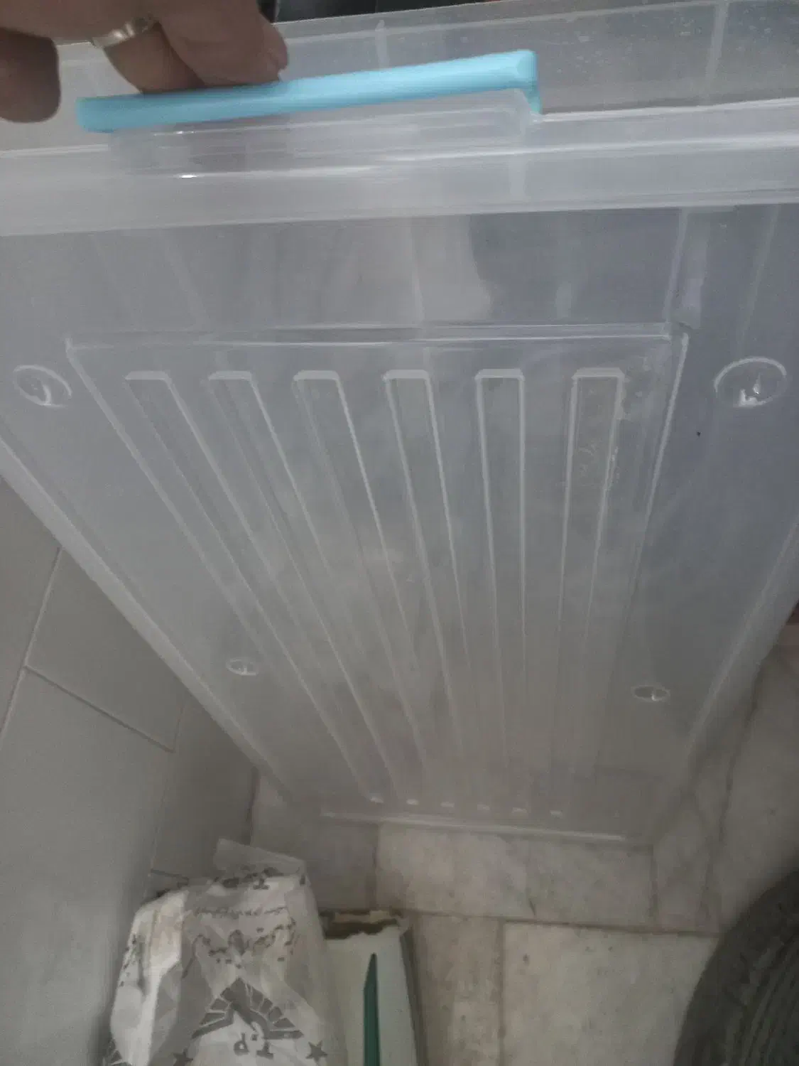 ظرف لاکی بزرگ نو|ظروف نگهدارنده، پلاستیکی، یک‌بارمصرف|بجنورد, |دیوار