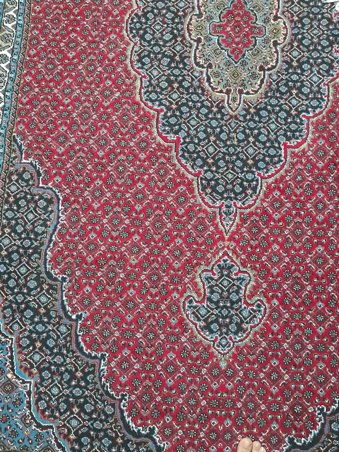 فرش ۶ مترس طرح ماهی سالم سالم|فرش|بروجرد, |دیوار