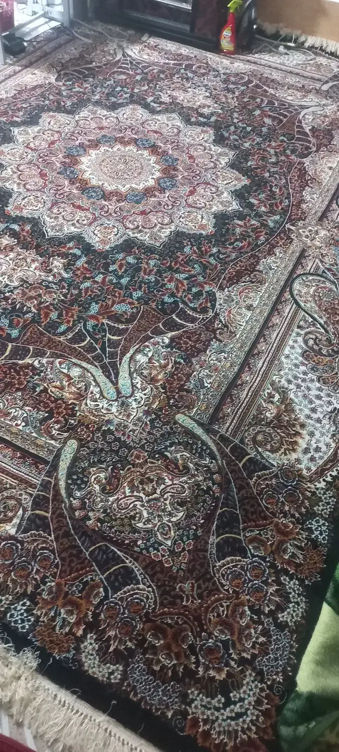 فرش ۱۲ متری و۶متری|فرش|کوه چنار, |دیوار