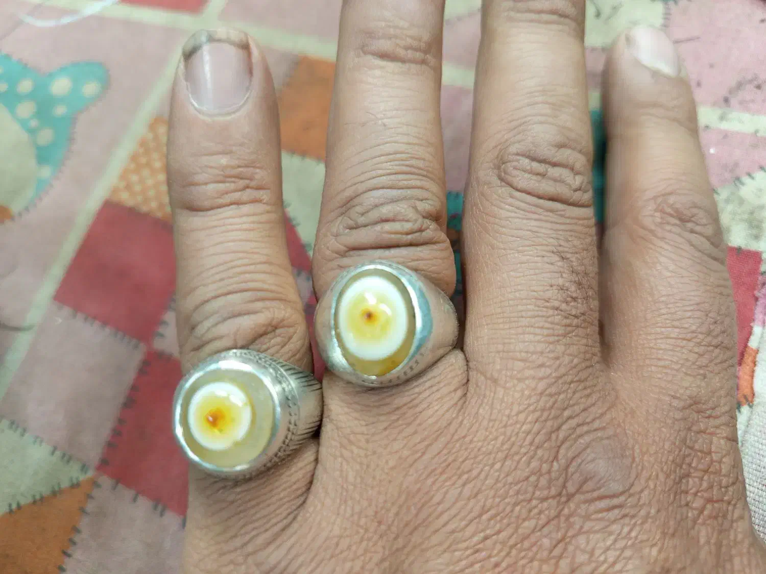 باباقوری  بسیارزیبا|بدلیجات|مشهد, وحید|دیوار