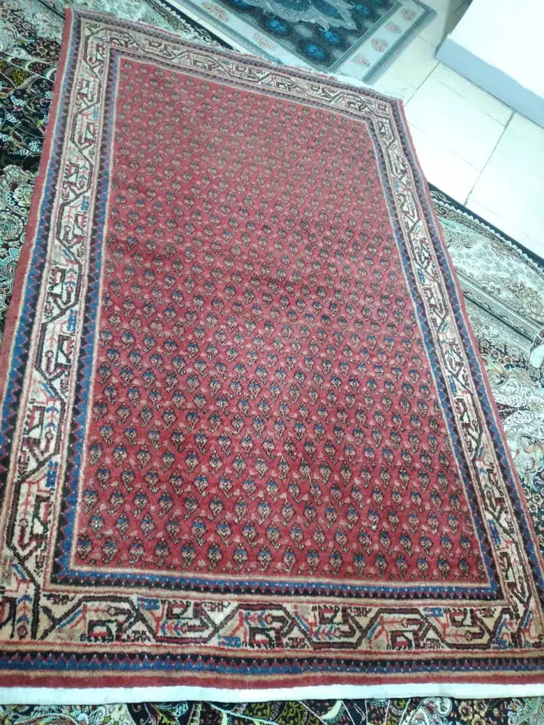 فرش|فرش|کرج, گلشهر|دیوار