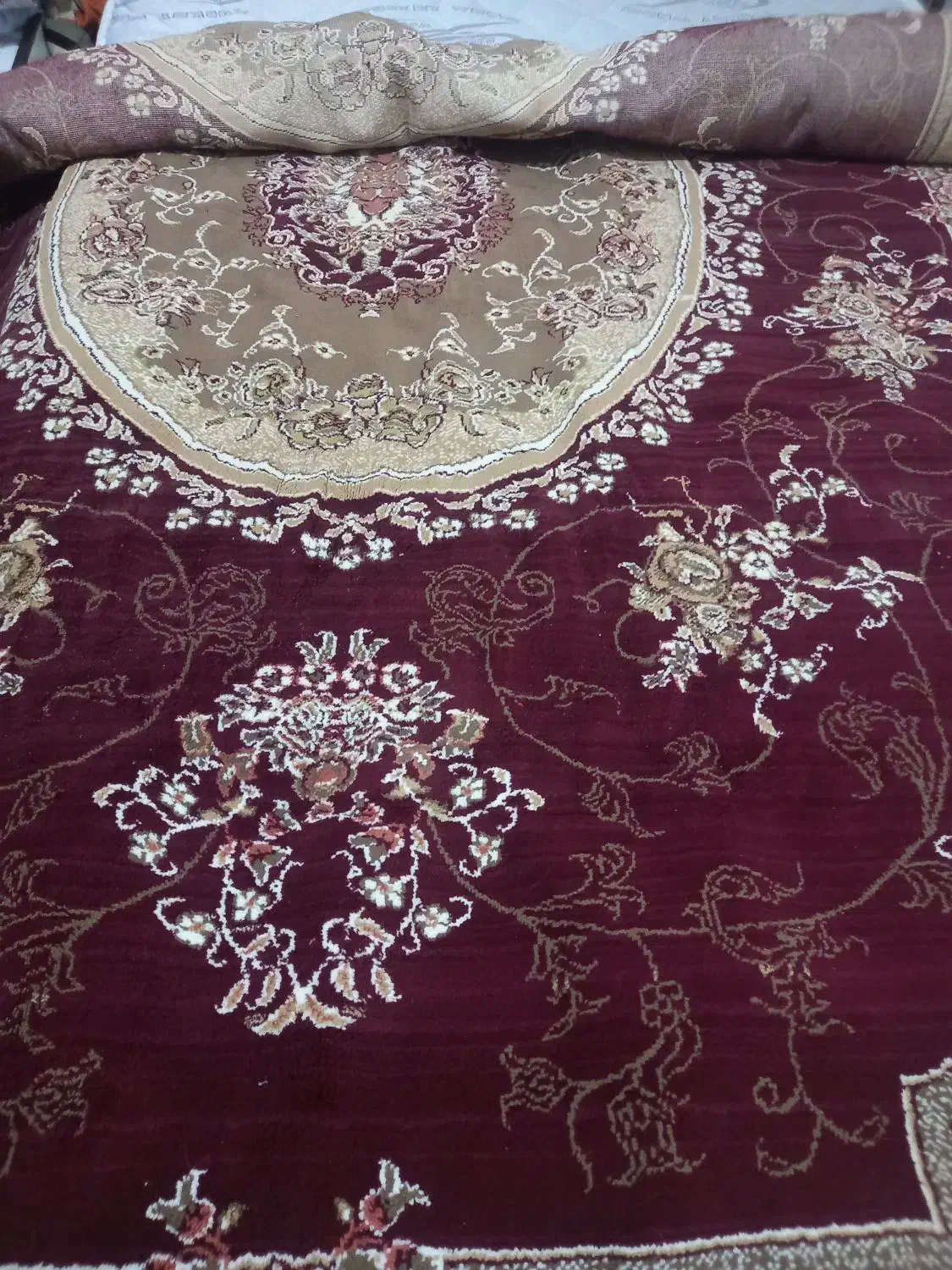 فرش 6متری|فرش|بندر انزلی, نوغان|دیوار