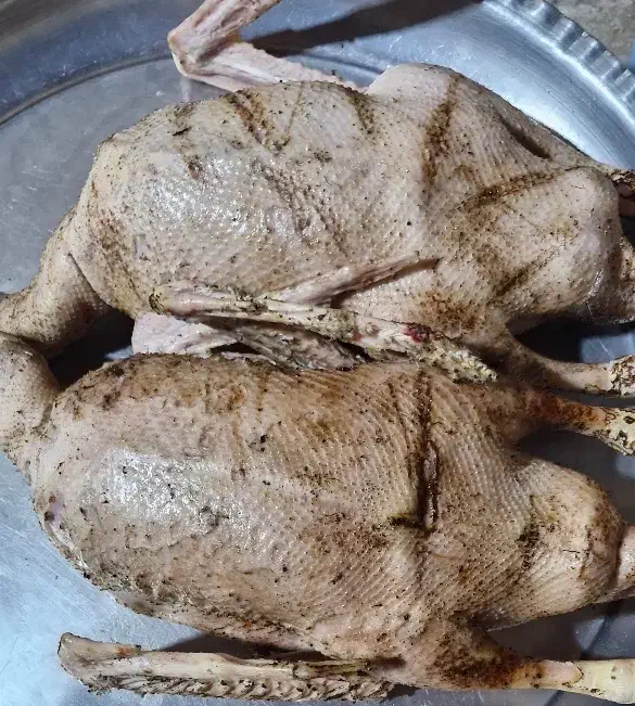 غاز واخضری کله سبز|حیوانات مزرعه|بندر امام خمینی, |دیوار