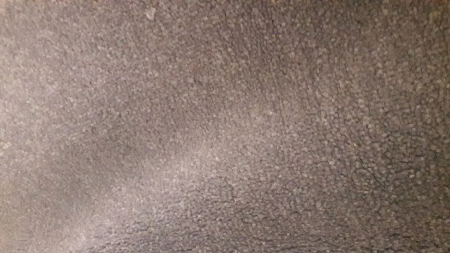 پالاز موکت رویال|موکت|رامیان, |دیوار