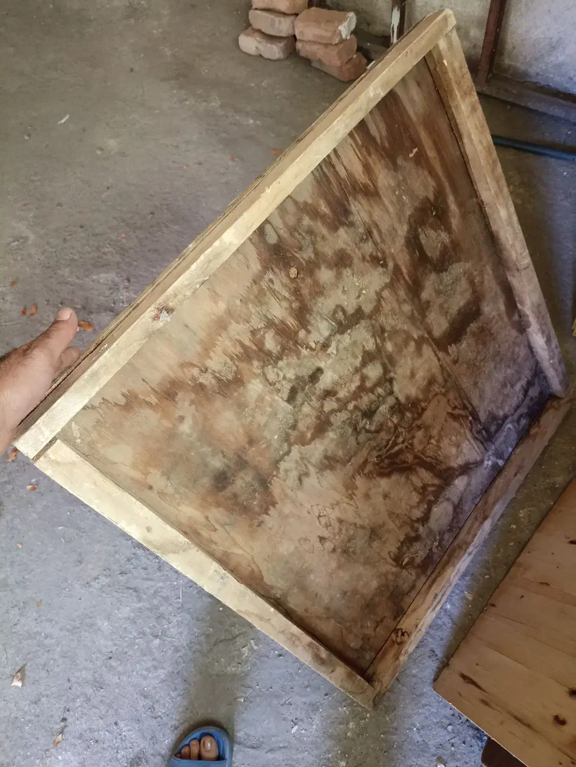 فروشی وسبد پلاستیکی ضخیم و لامپ 50 وات|ظروف نگهدارنده، پلاستیکی، یکبارمصرف|تبریز, |دیوار